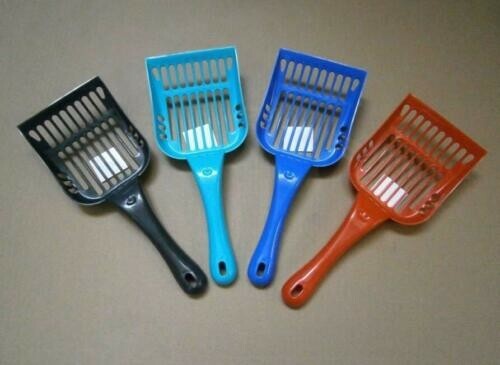 Cat kitten plastic litter tray - cat,