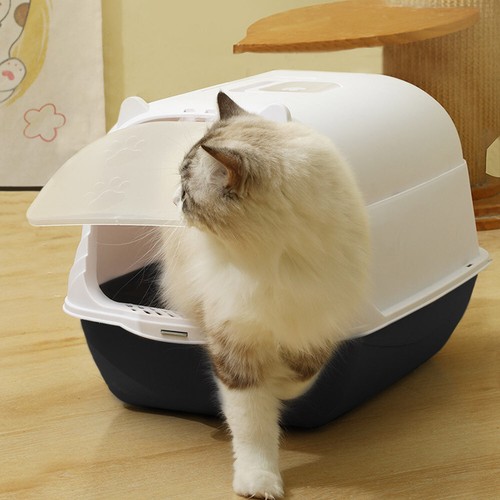 Extra large hooded - large, cat