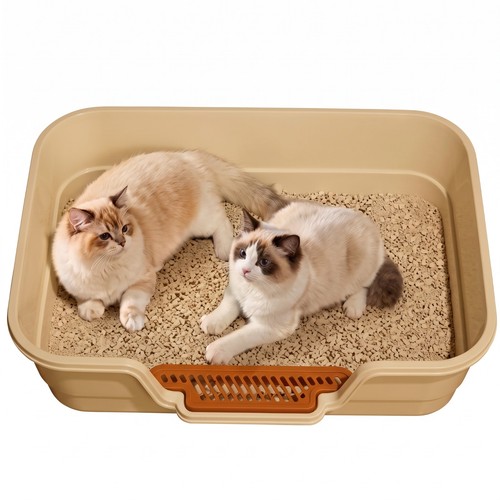 Extra large cat - extra,