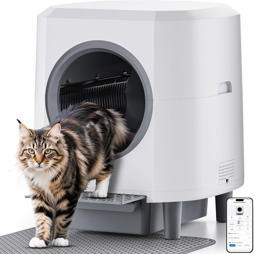 Automatic self cleaning - self-cleaning, cat