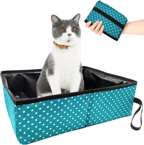 Cat litter tray travel - cat,