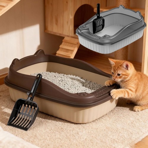 Large open cat - cat, tray