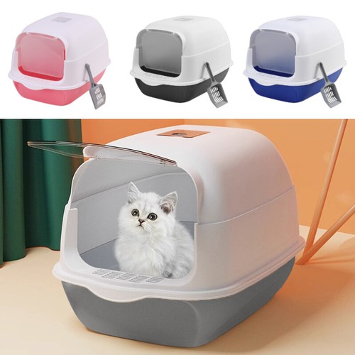Jumbo hooded cat - kitten, litter