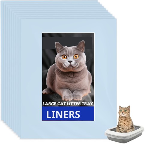 Cat kitten litter - kitten,