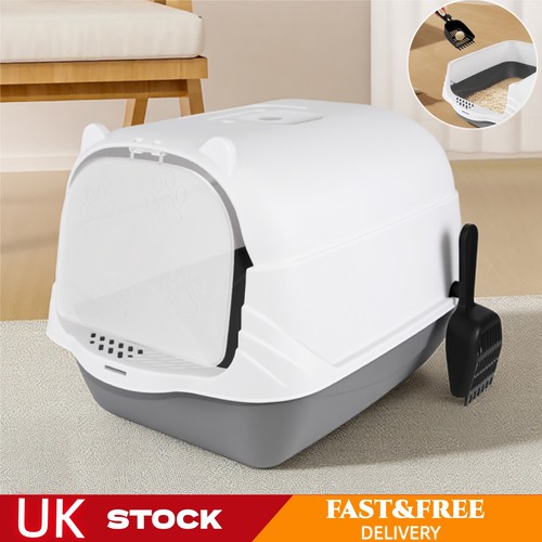 Cat litter box kitten - litter,