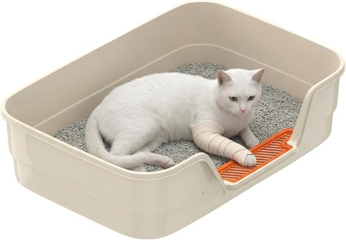 Large cat litter - litter, high