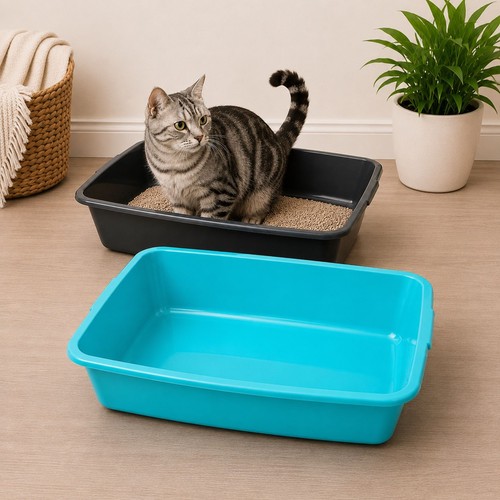 Large cat litter - large,