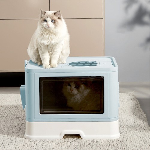 Blue self cleaning - blue, cat