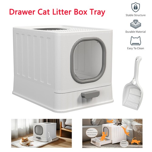 Skylight enclosed cat - enclosed, litter