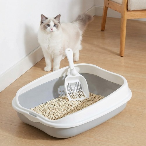 Cat litter box open - box,